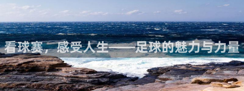 看球赛,感受人生——足球的魅力与力量