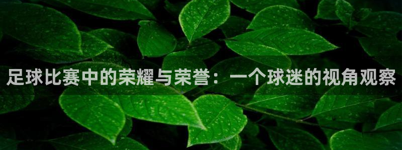 足球比赛中的荣耀与荣誉:一个球迷的视角观察